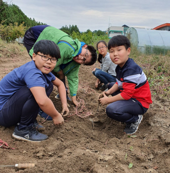 6학년 단체사진.jpg