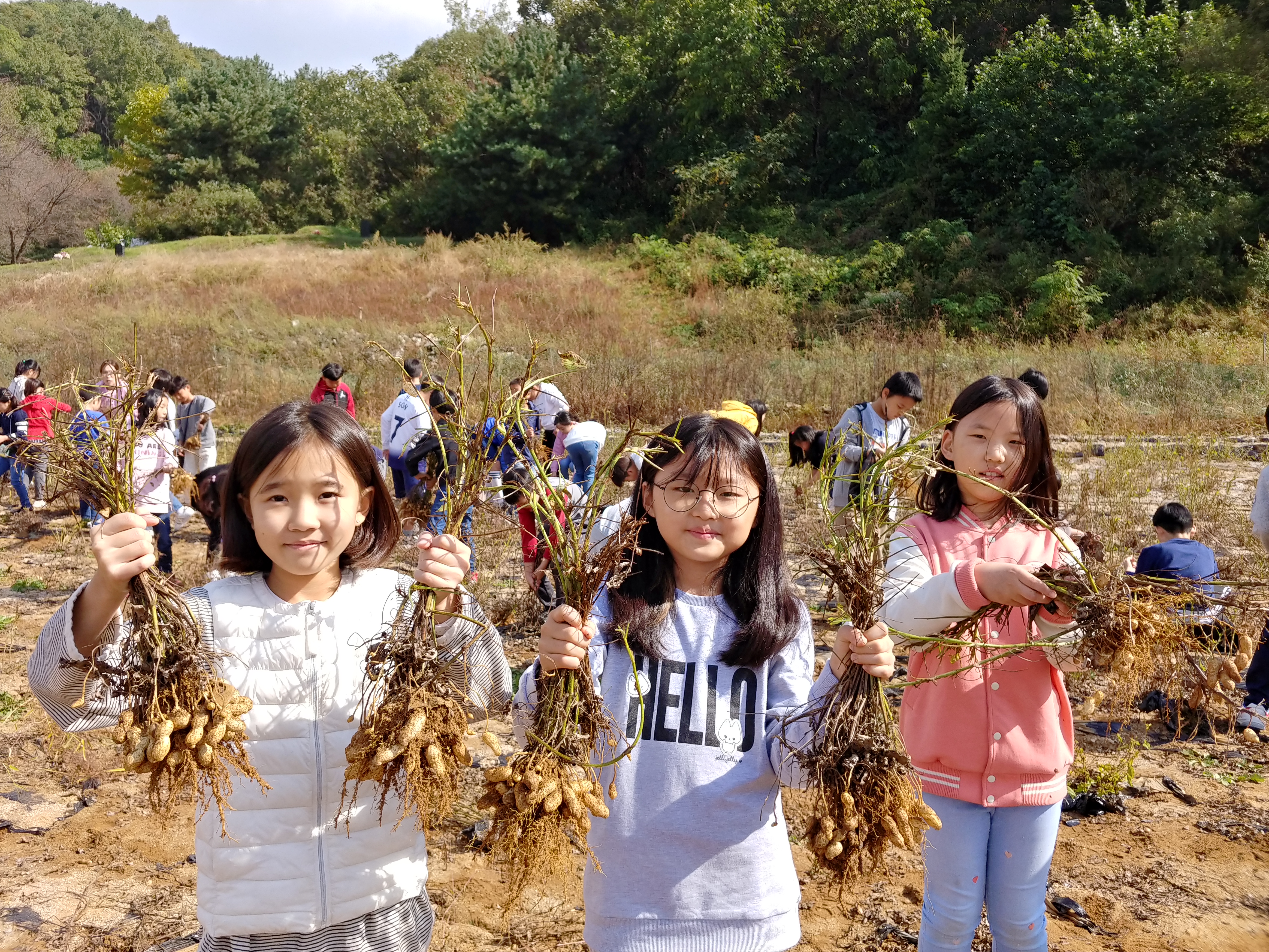 20191016_110728_HDR - 복사본.jpg