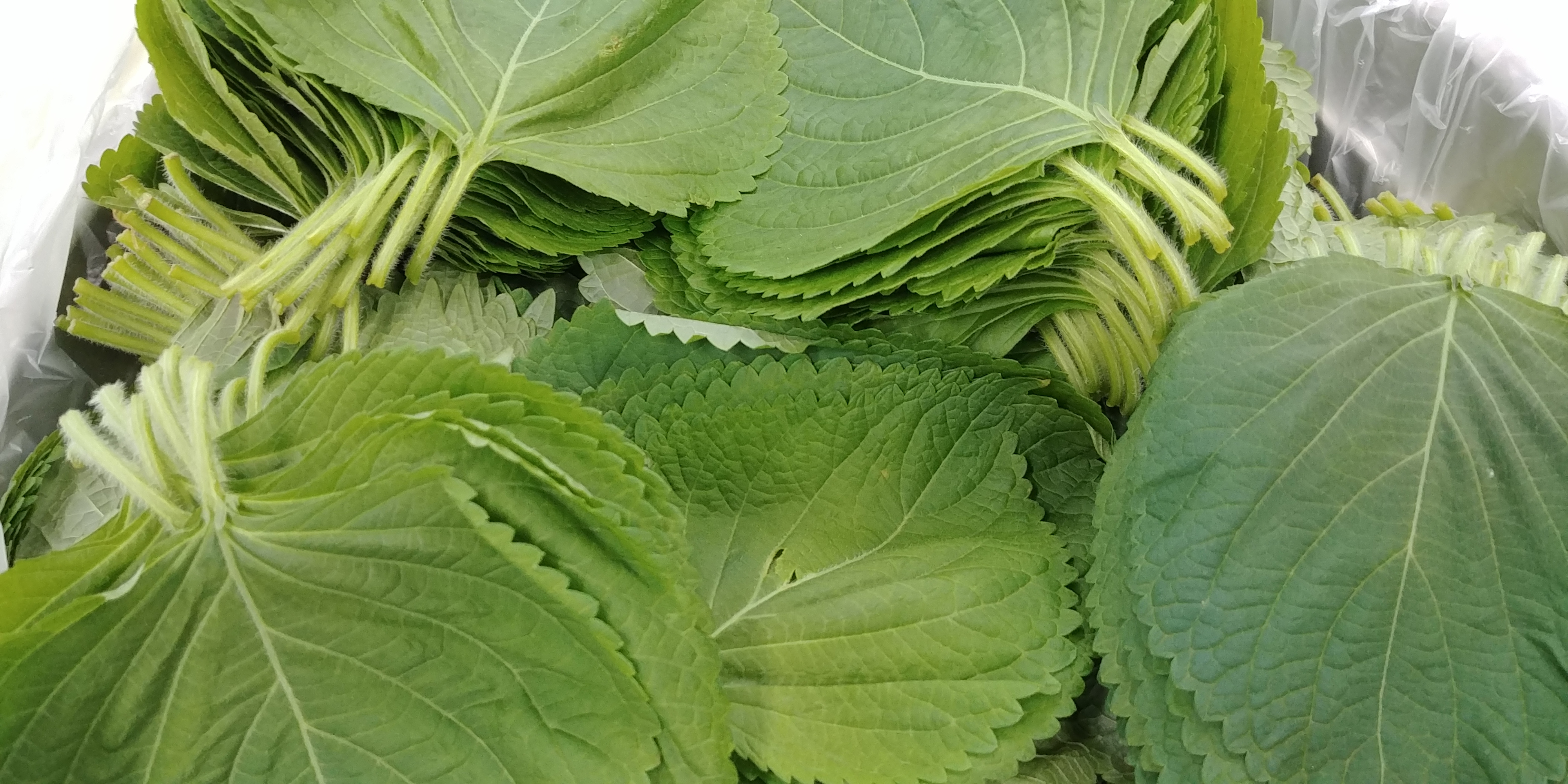 20191028_080950