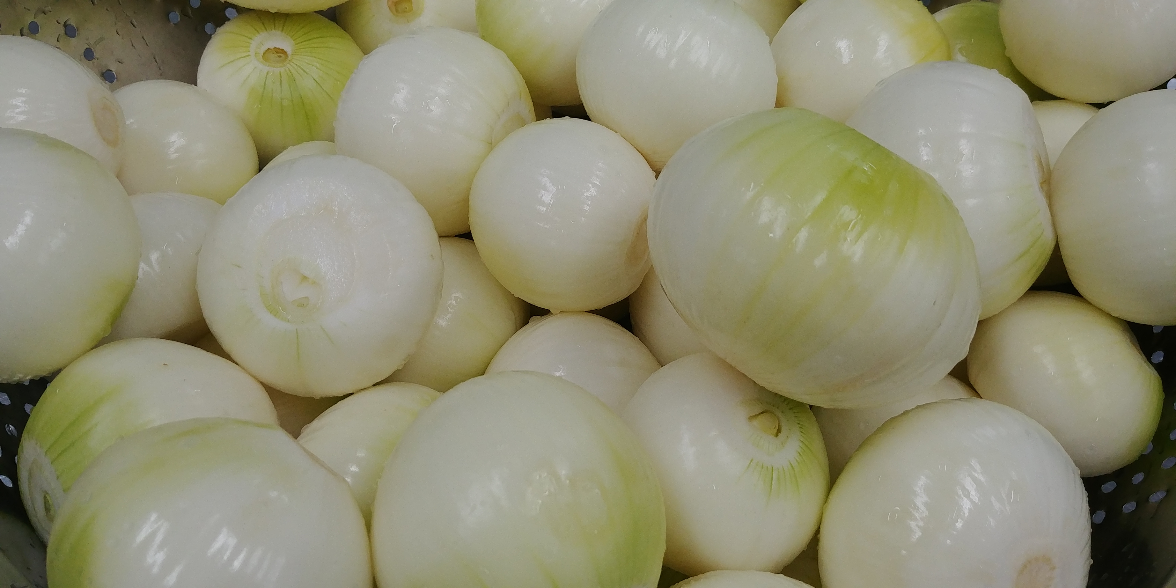 20191017_081105