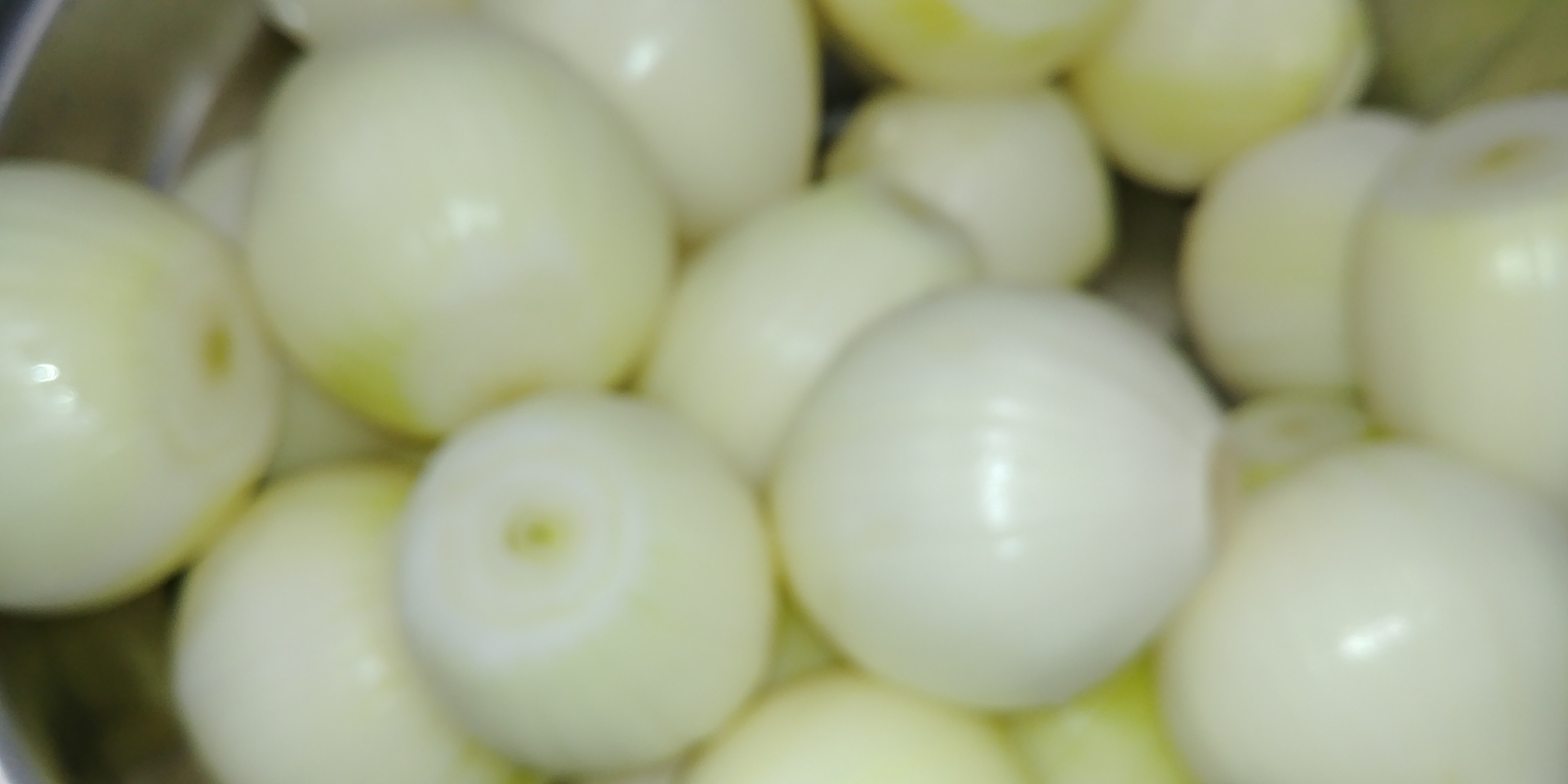 20191010_081941