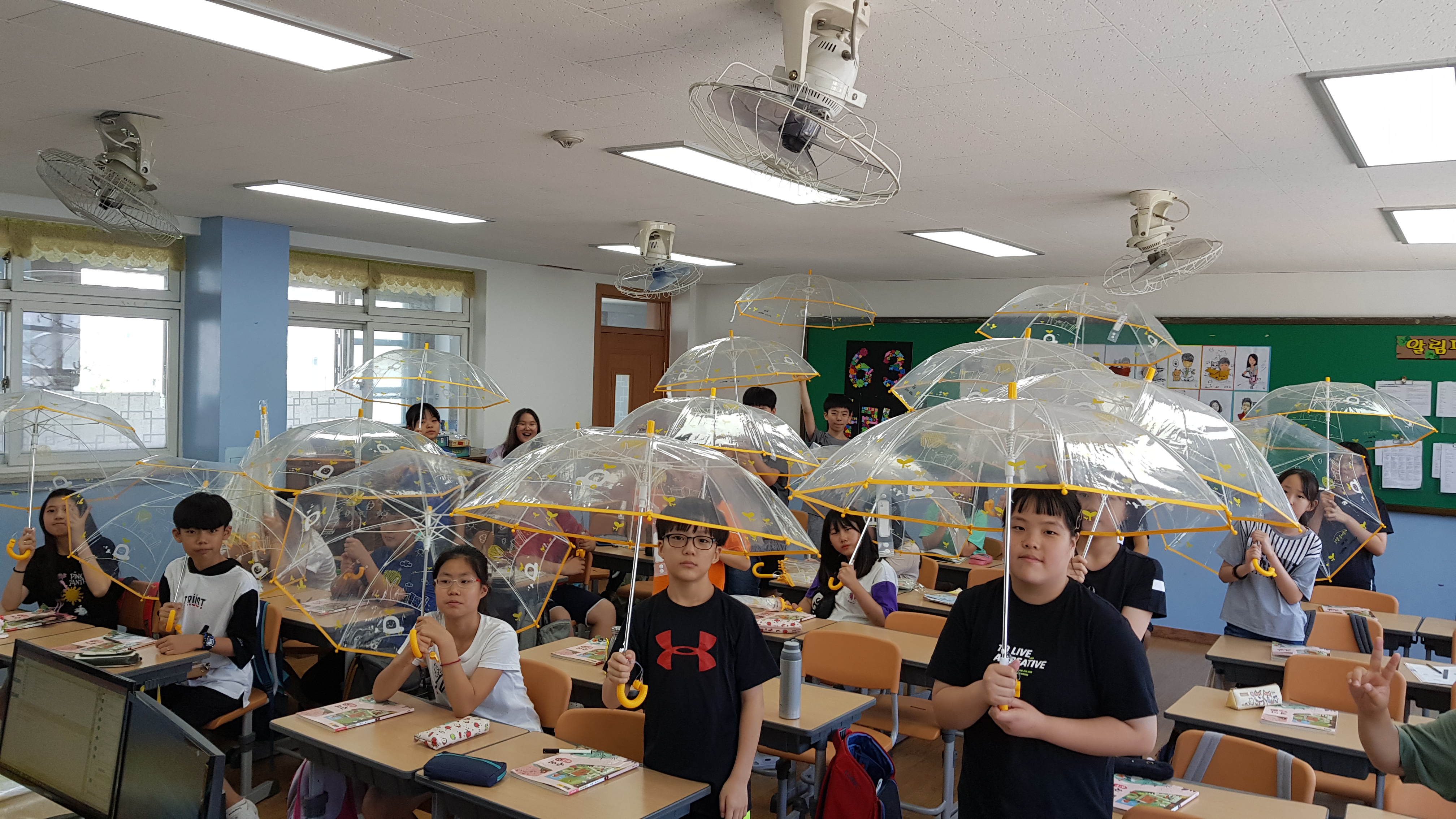 20190624_114625.jpg
