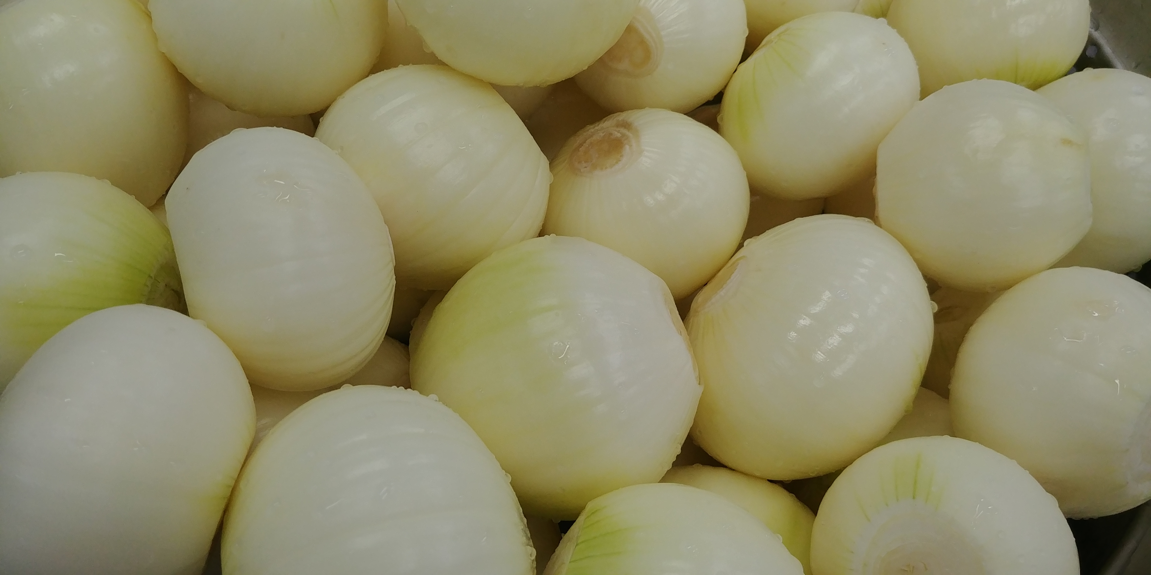 20191104_081247