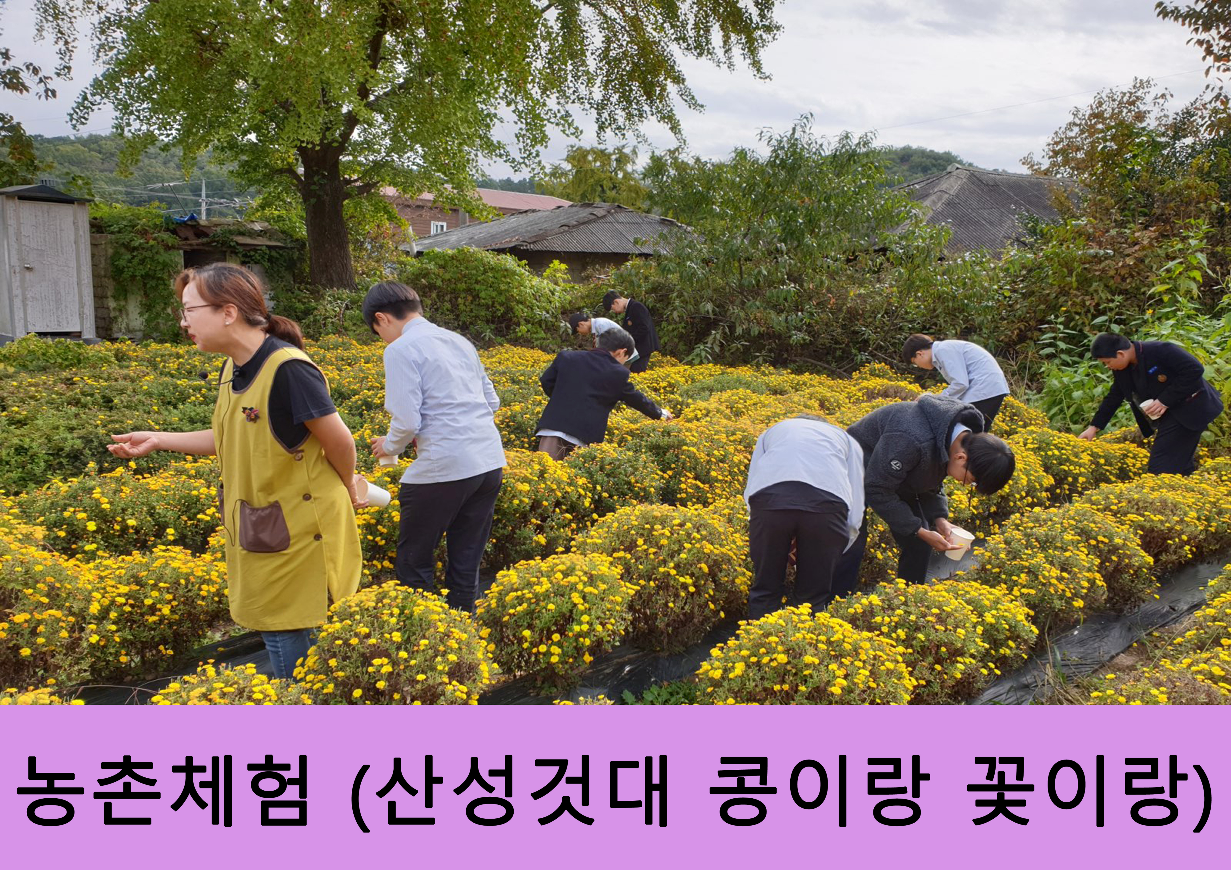 산성것대