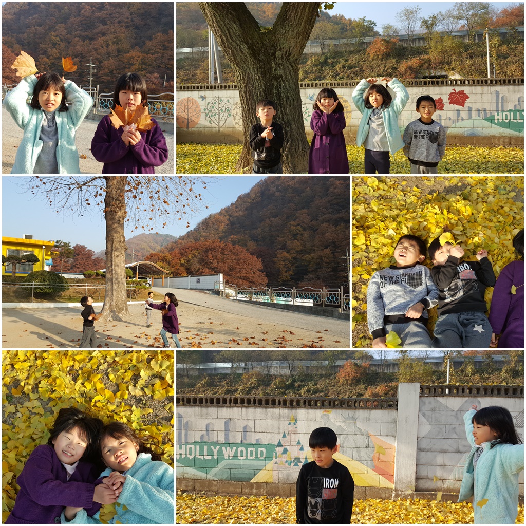 나뭇잎(11.8).jpg