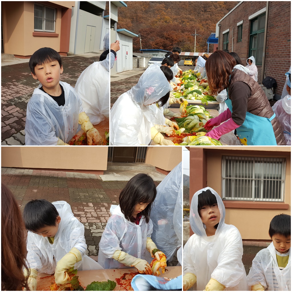 김장 담기(11.12).jpg