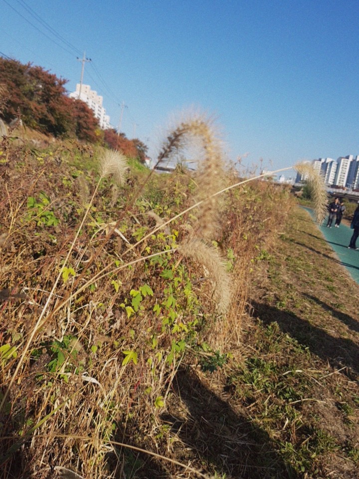 무심천을 걷다가~(4학년3반 윤서은)