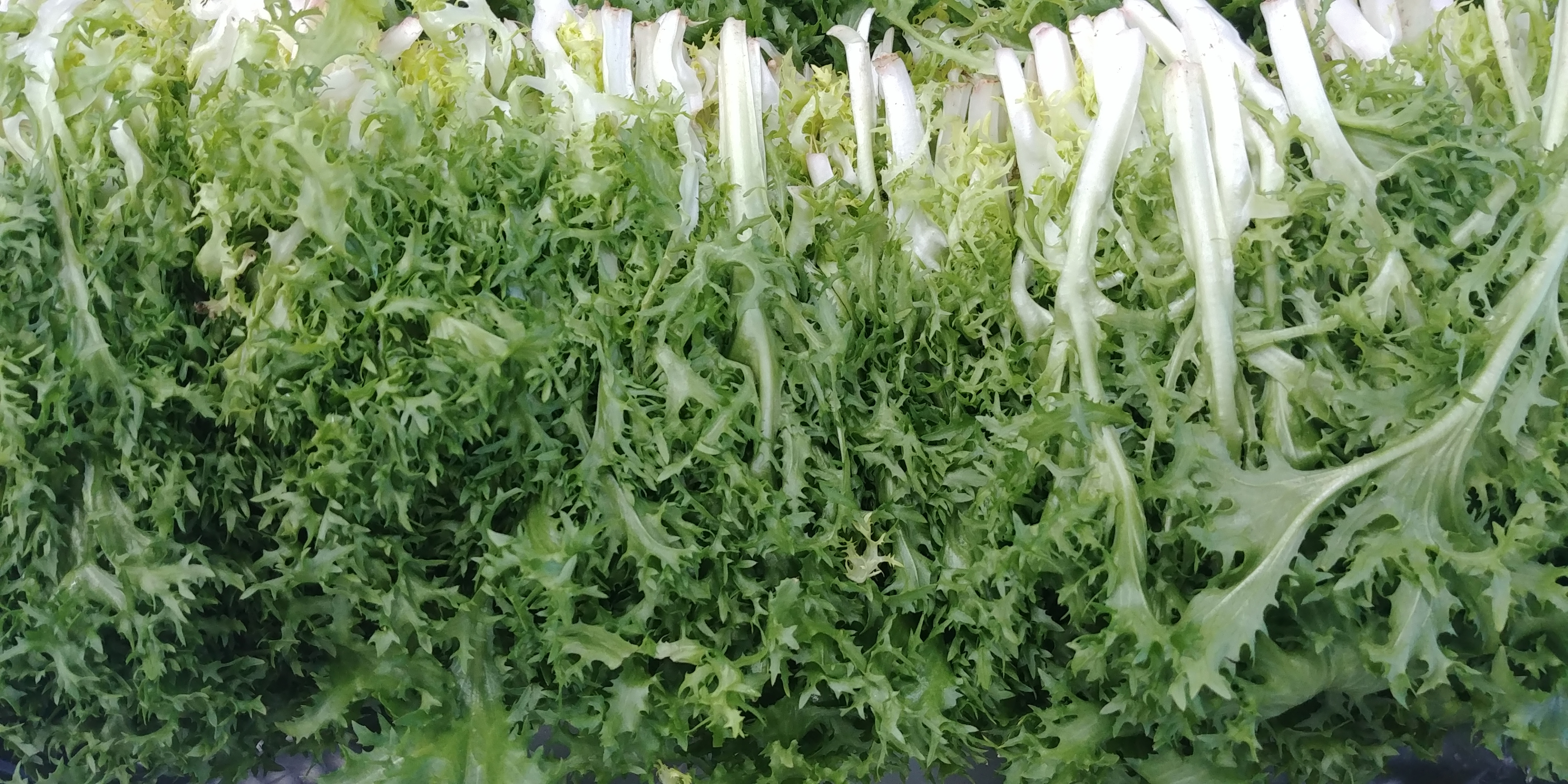 20191219_080609