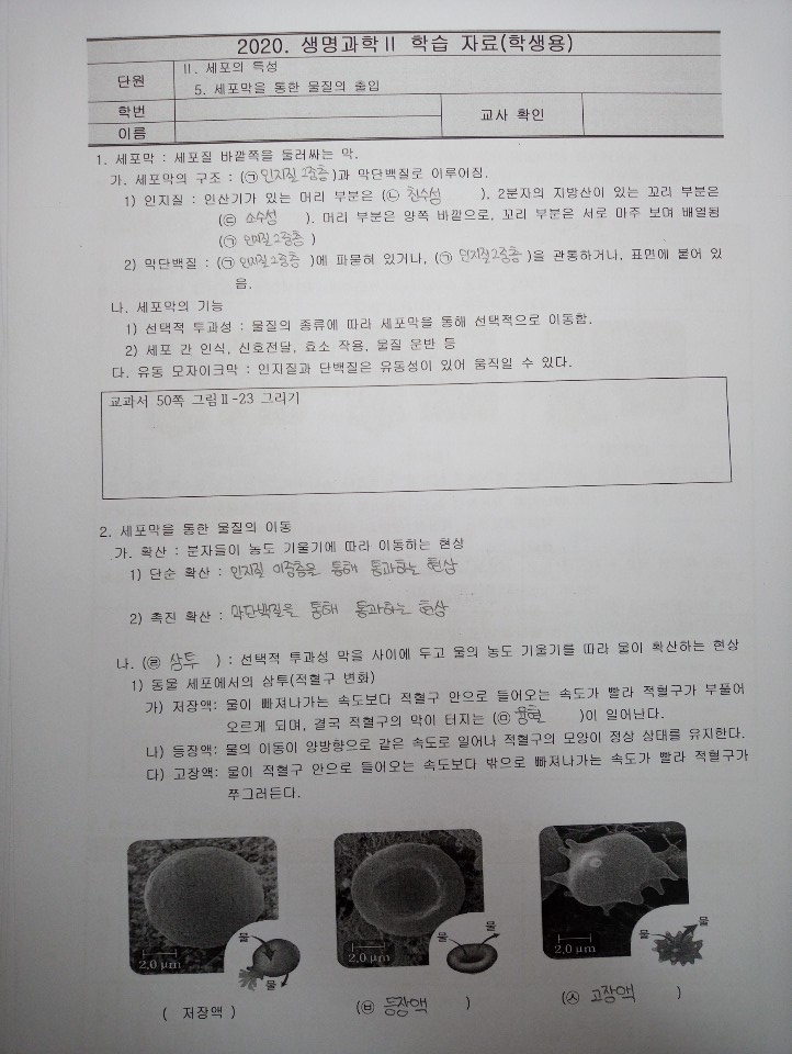 생명 과제1