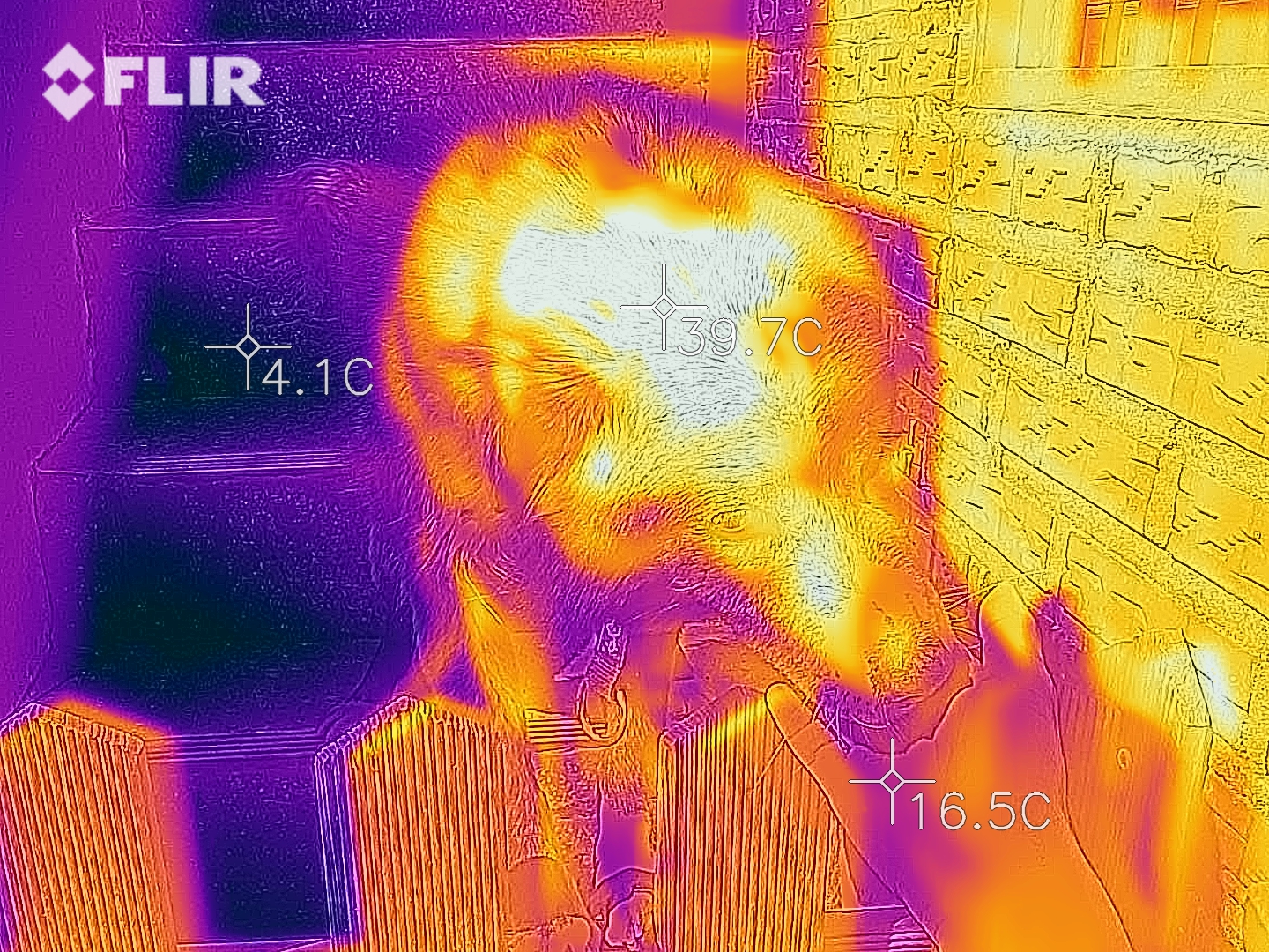 flir_20200308T115715