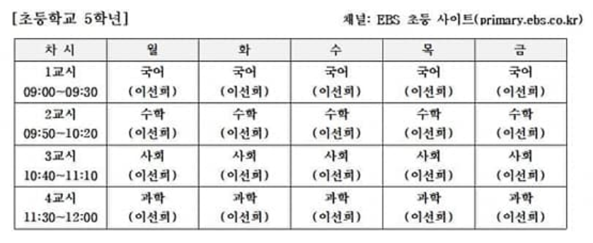 5학년