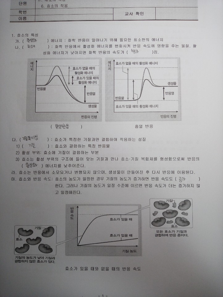 생명 과제1