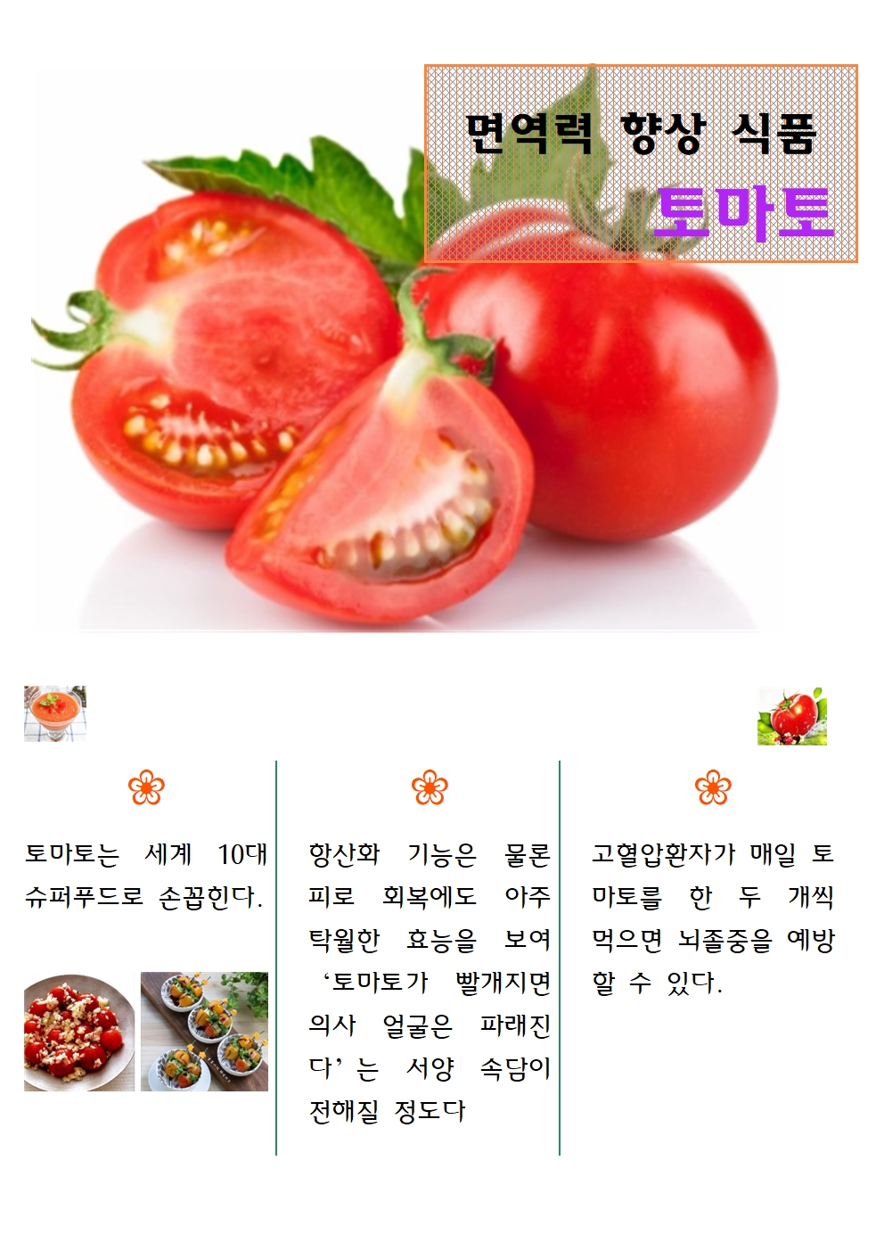 토마토001