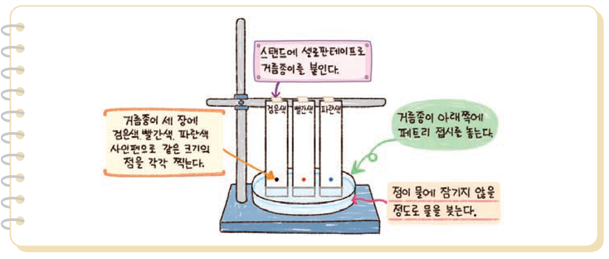 실험관찰 7쪽 탐구문제 1