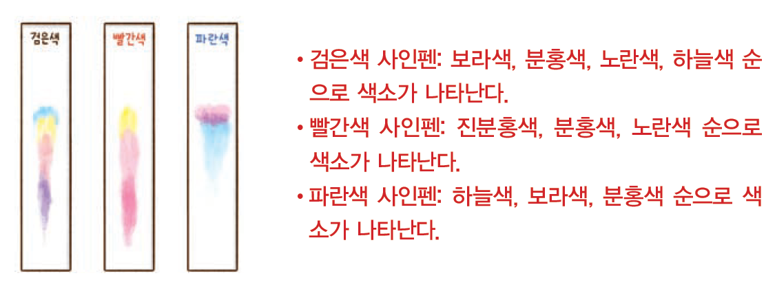 실험관찰 9쪽 탐구문제 1
