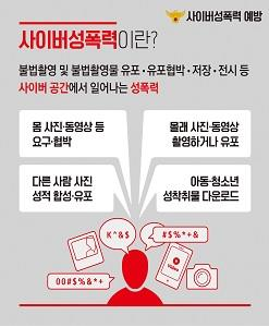 사이버성폭력이란