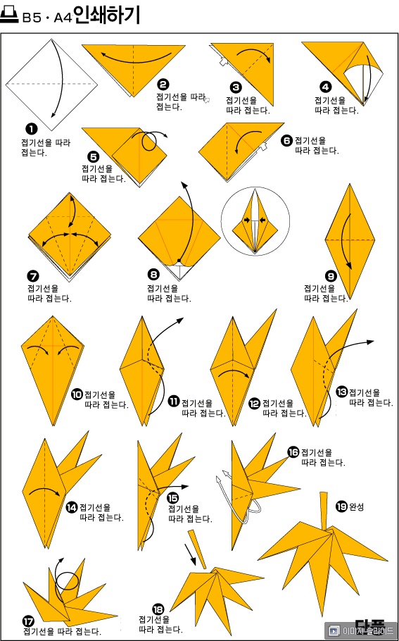 단풍잎