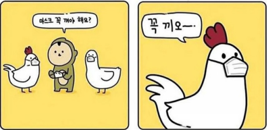 마스크꼭끼오