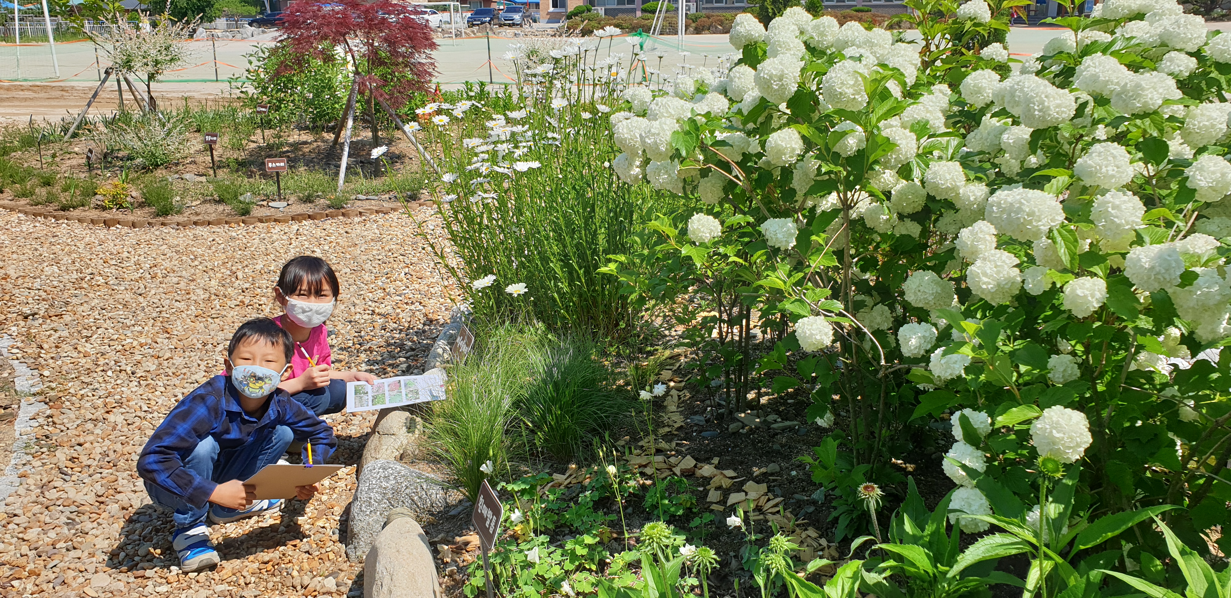 학교숲 (12).jpg