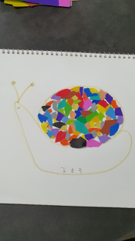 1590403095725.jpg