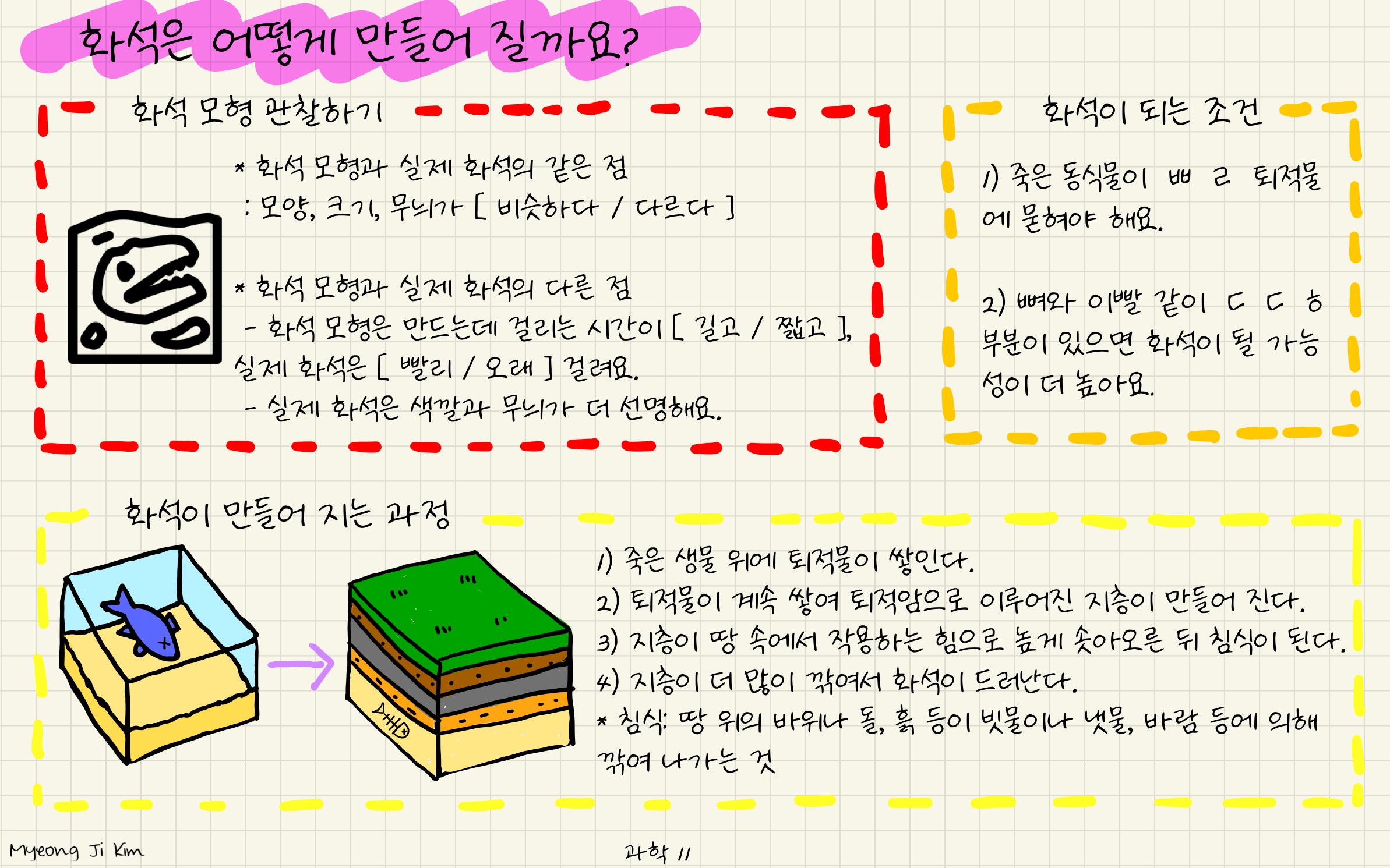 과학 11