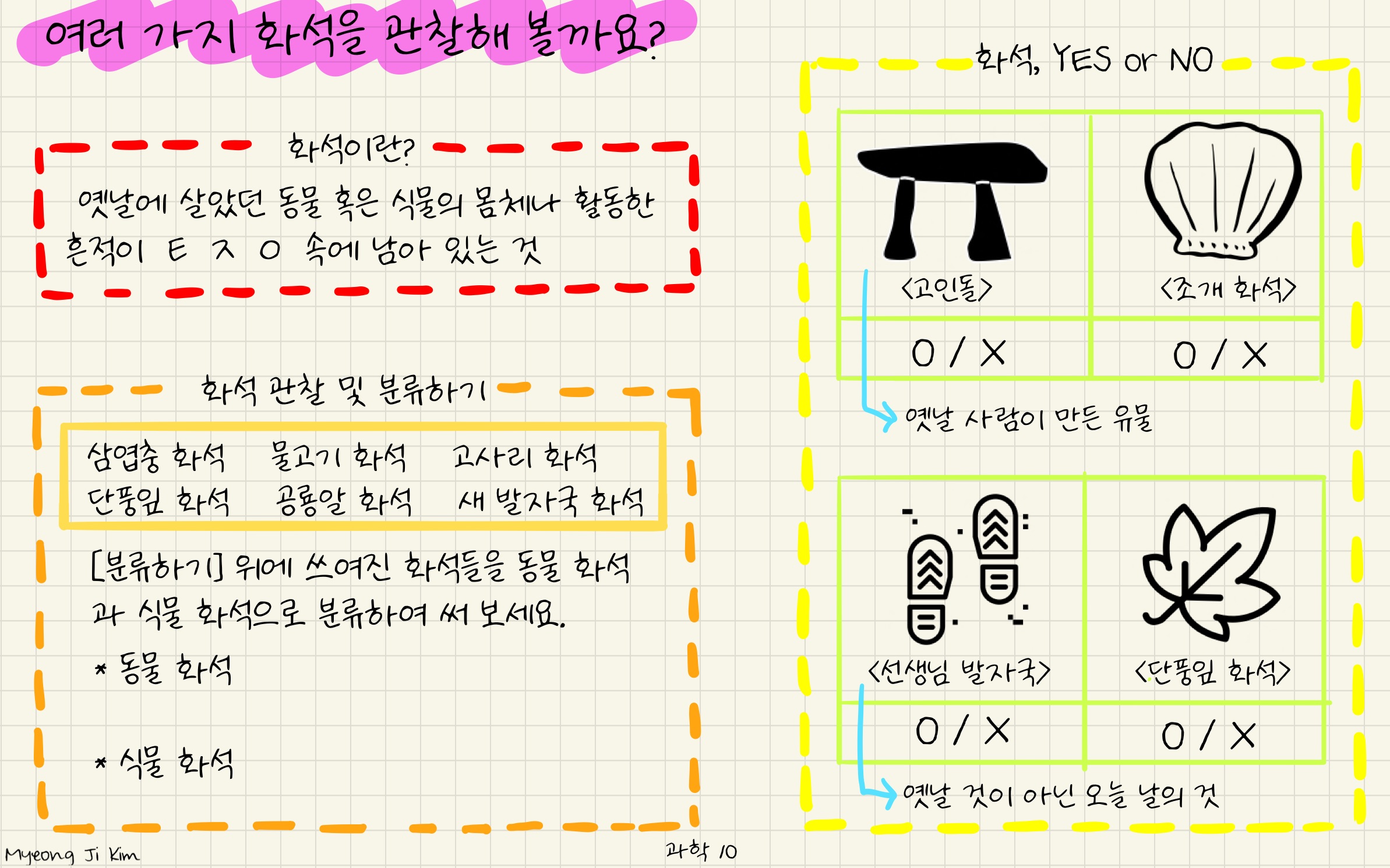 과학 10