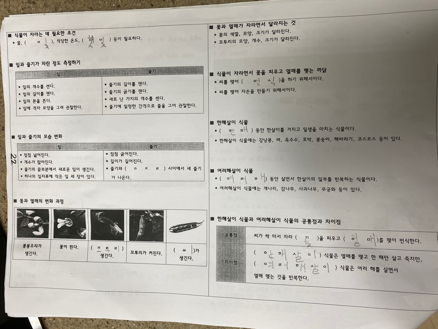 과학 온라인 학습 과제 2