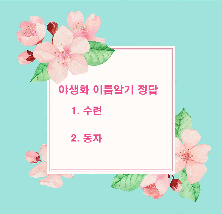 야생화-4