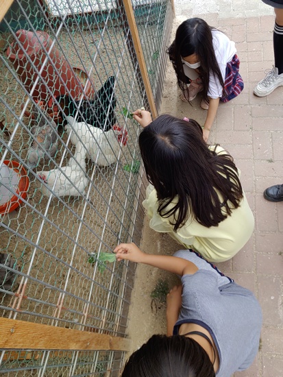 동화초20200707_144631