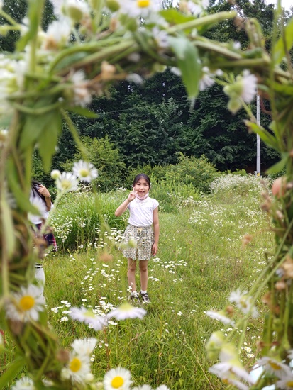 동화초20200707_143056