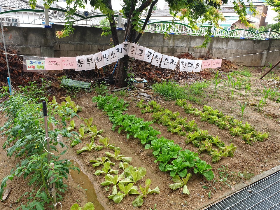 이만큼 자랐어요