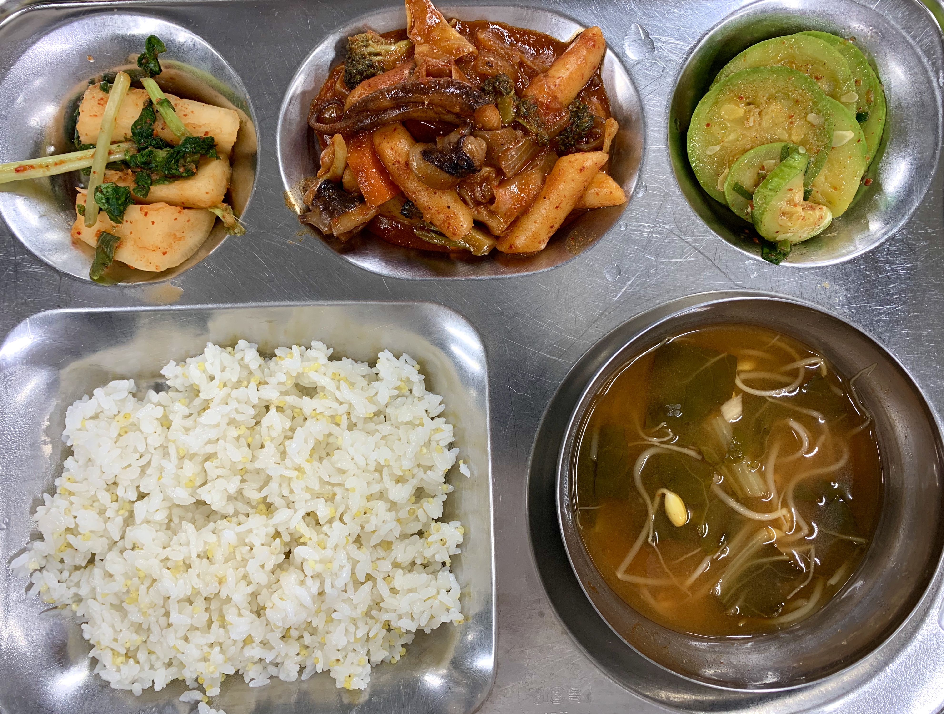 8.20조식