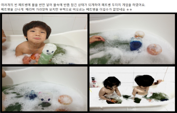 페트.png