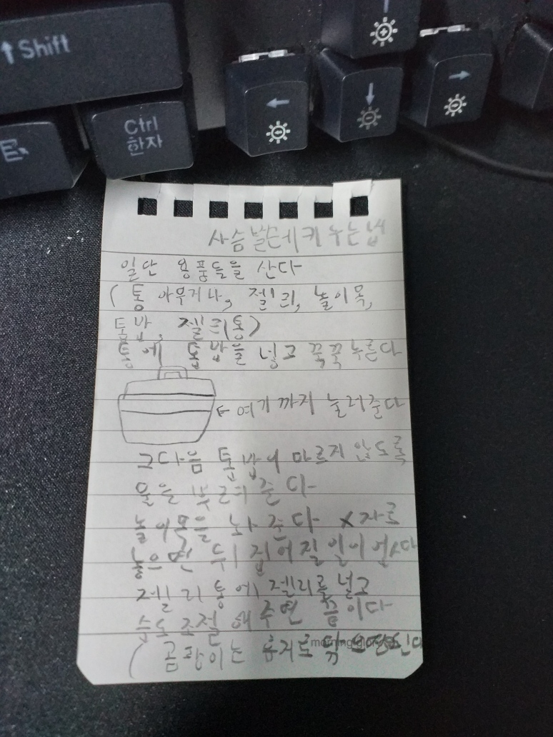 사슴벌레 키우는법
