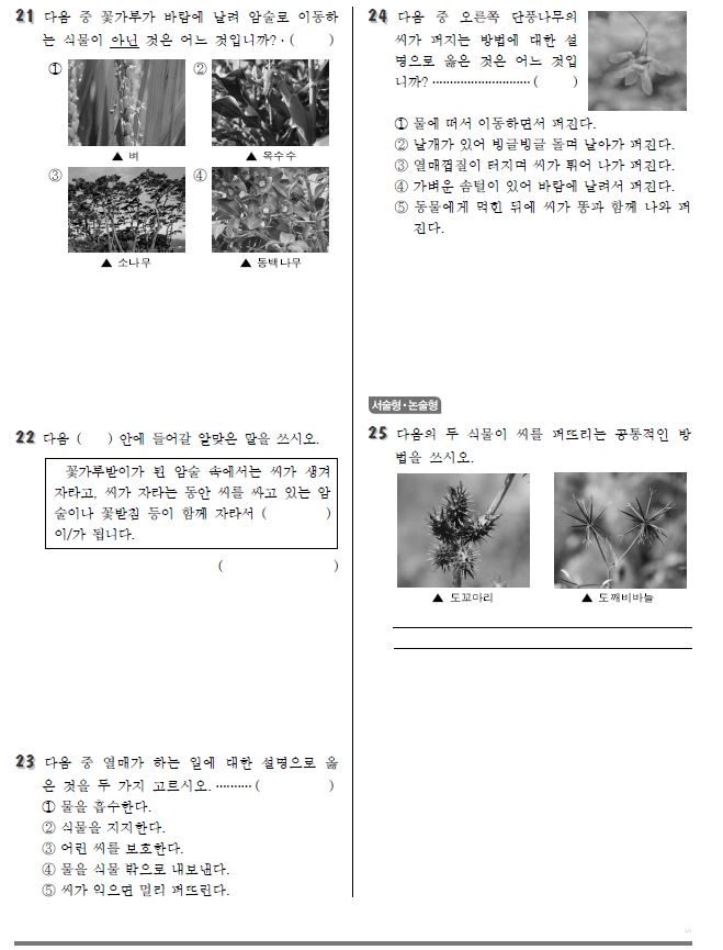 과학4