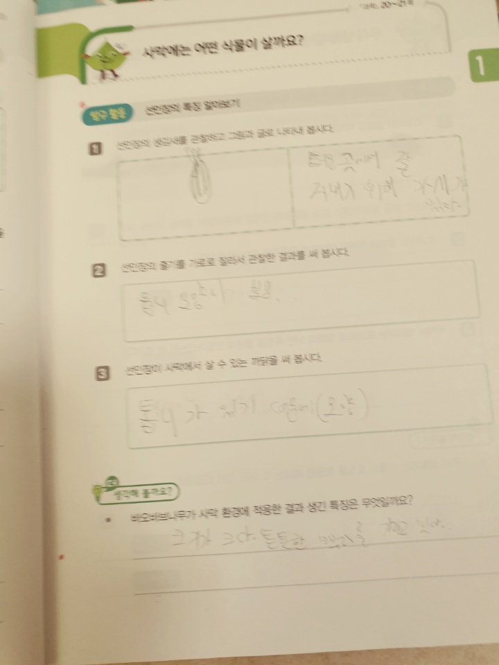 ㅅㄱ