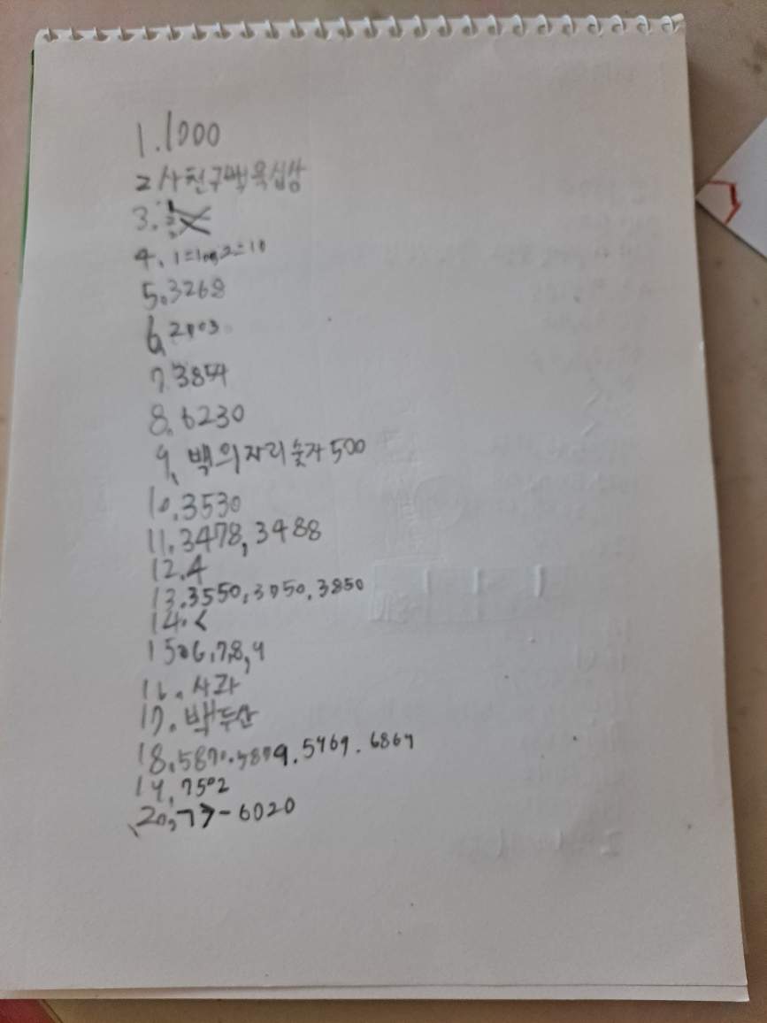 전예은-보충형