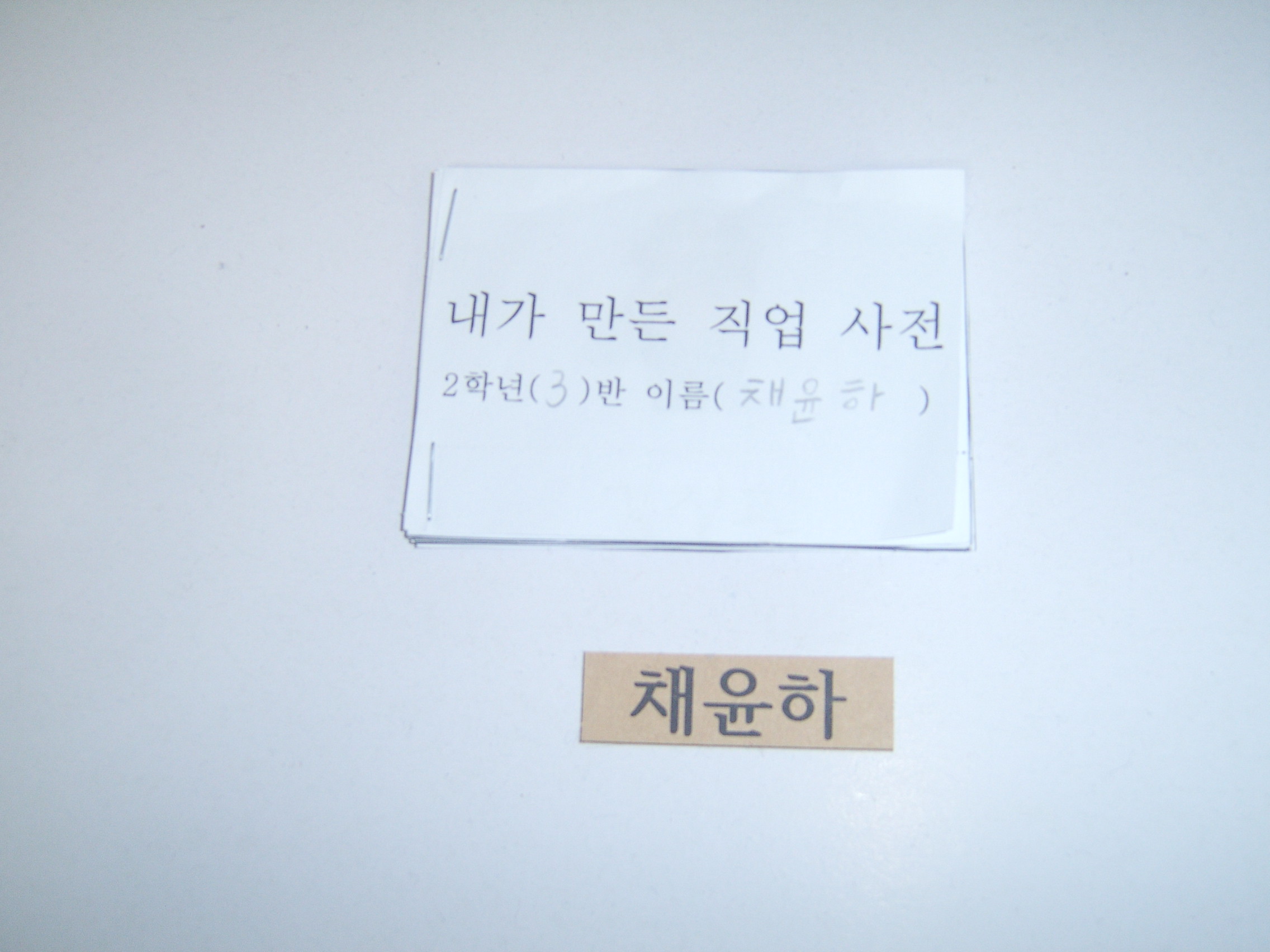 채윤하