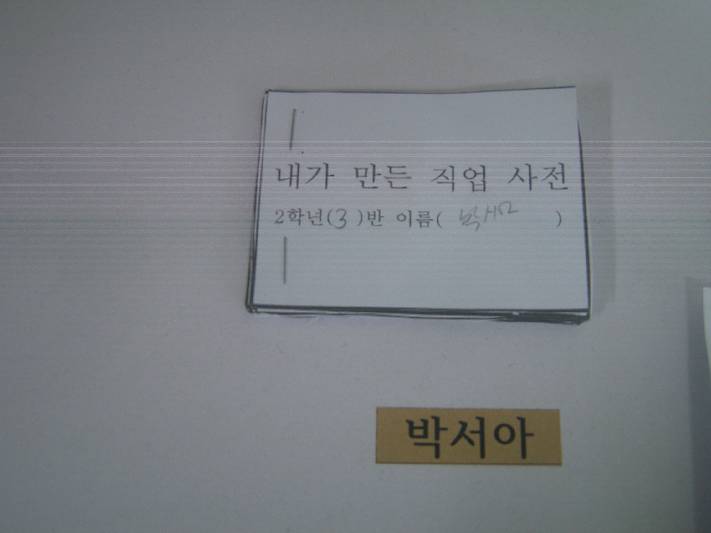 박서아