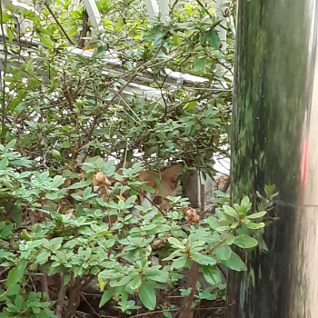 20200927_154357.jpg
