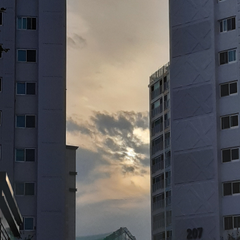 20201013_165740.jpg