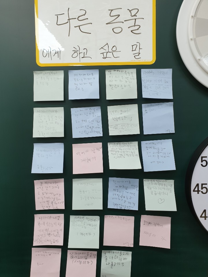 다른 동물