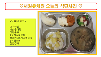 식단사진.png