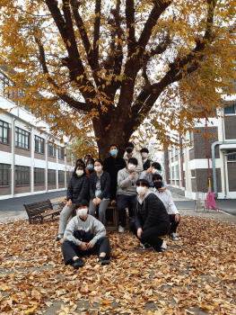 20201117_142803.jpg