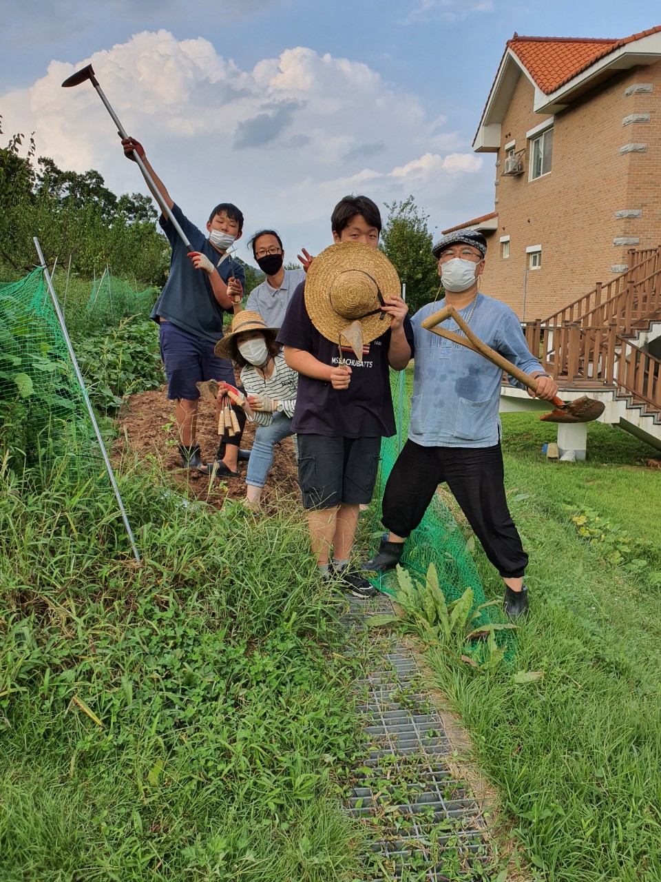 9.9 가을배추 (2)