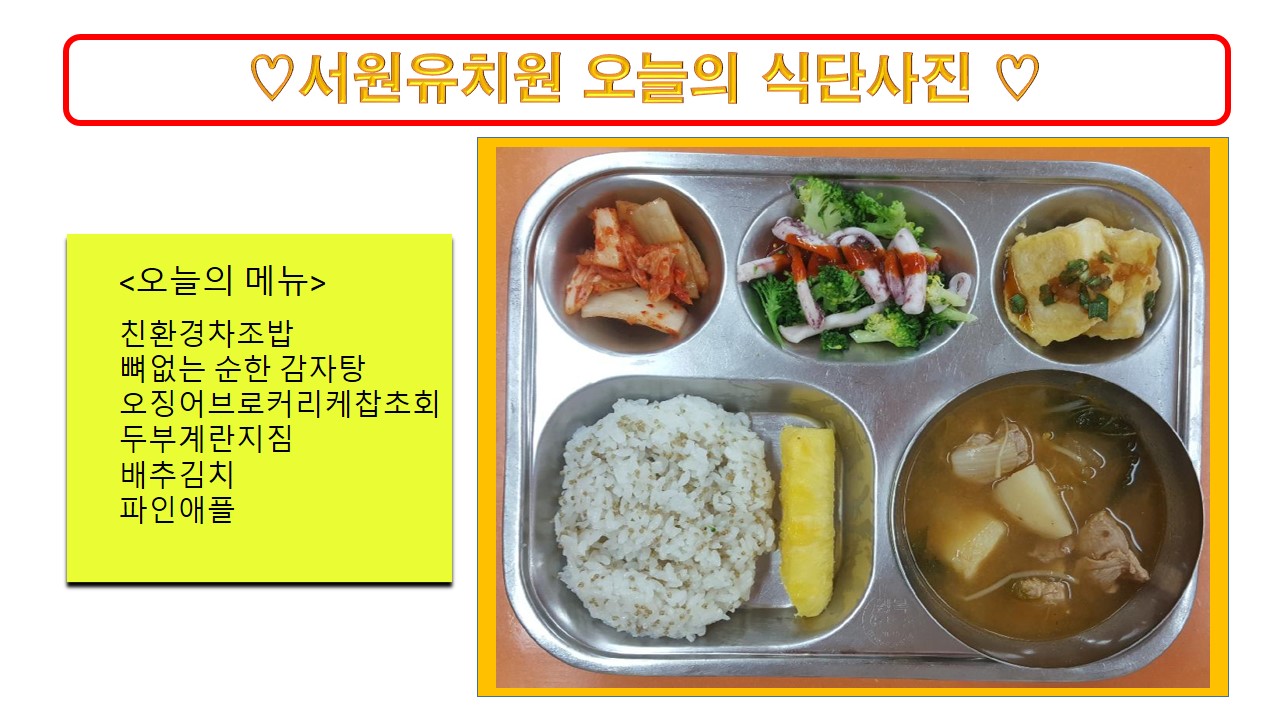 식단사진