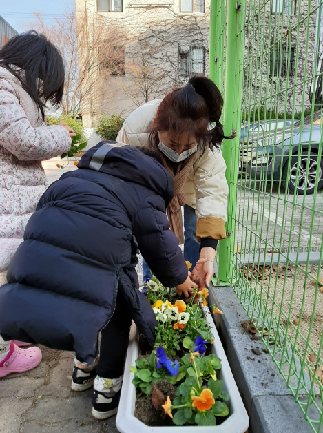 [크기변환]팬지심기 김재후