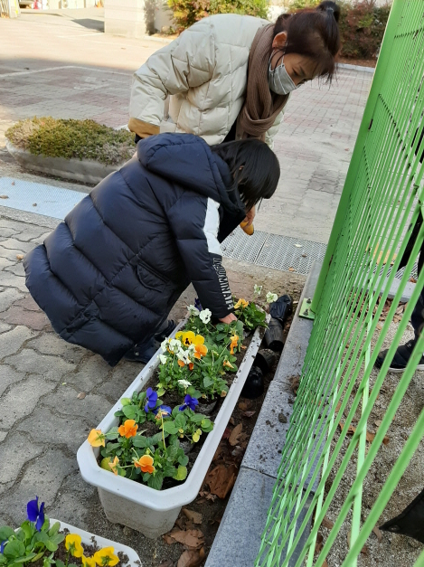 [크기변환]팬지심기 이지용