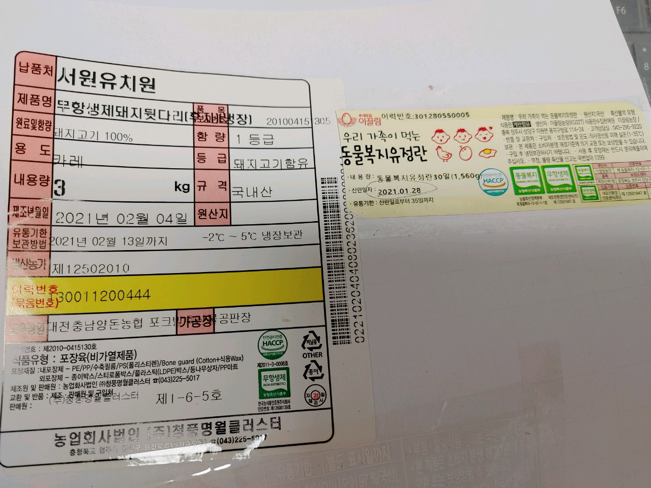 20.2.5. 서류