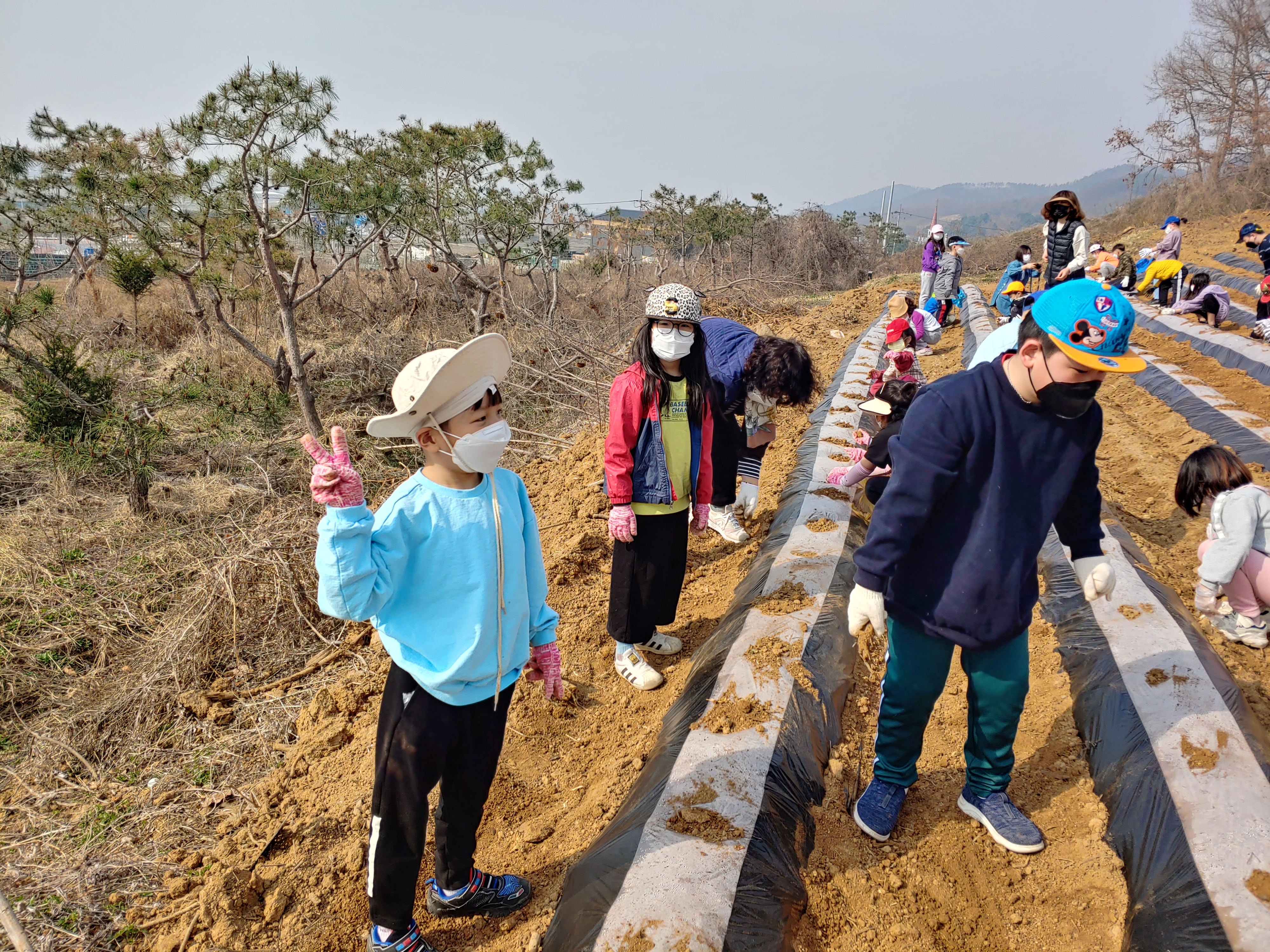 텃밭 (3)